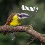 Quand les nouveautés arrivent-elles_ClaireDeLune_Blog